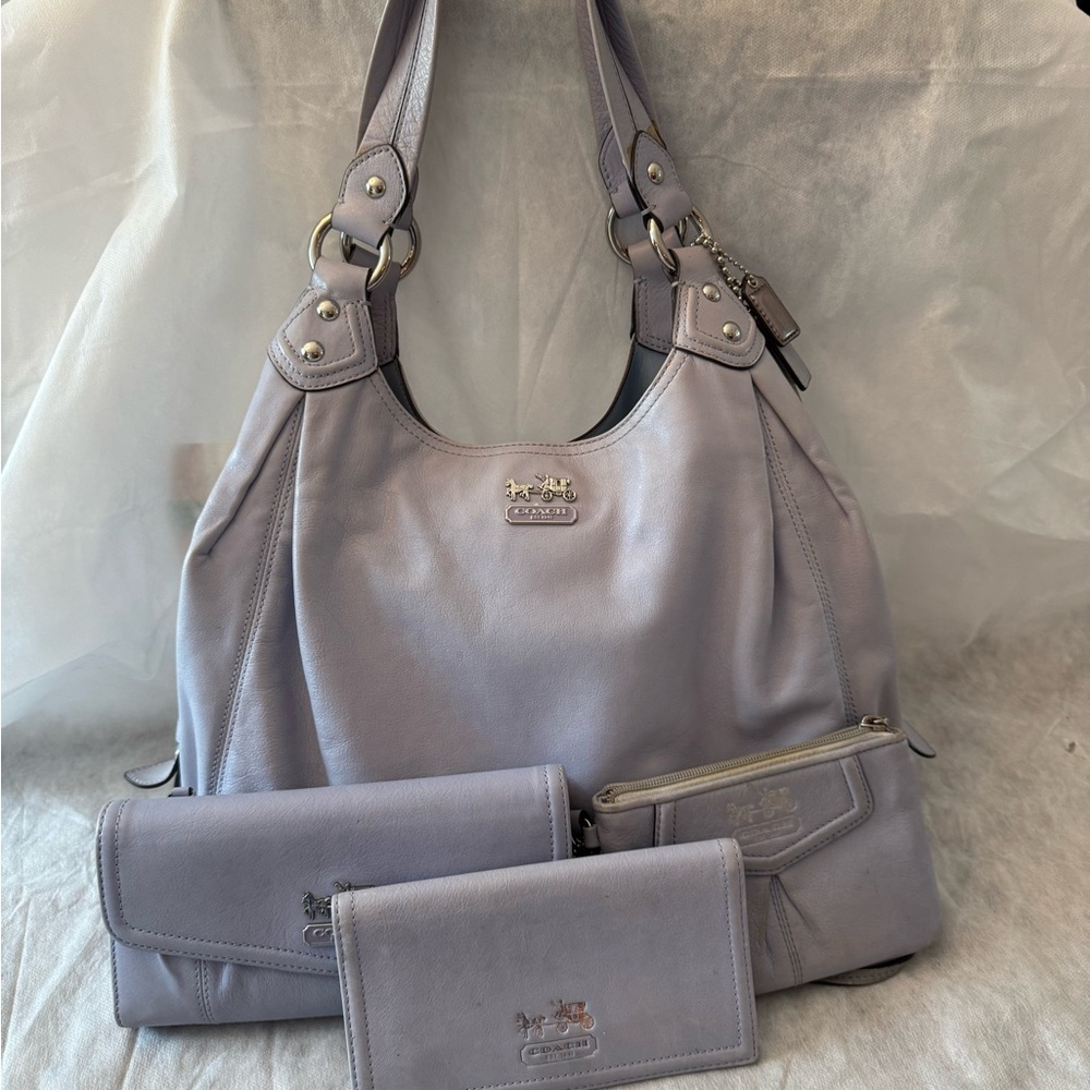 Coach Large Maggie Bag with matching wallet, wristlet, and checkbook cover